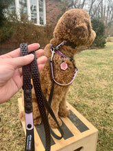 Load image into Gallery viewer, &quot;Double Trouble&quot; 2-Connection Grip Leash Narrow (Sm/Med Dog)