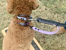 Load image into Gallery viewer, &quot;Double Trouble&quot; 2-Connection Grip Leash Narrow (Sm/Med Dog)