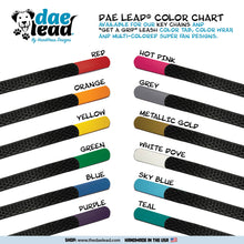 Load image into Gallery viewer, Duo Color Tab &quot;Get a Grip&quot; DAE Lead Leash WIDE (Large/XL Dogs)