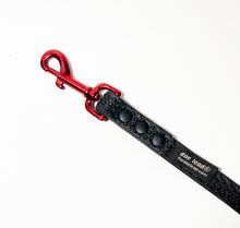 Load image into Gallery viewer, &quot;Get a Grip&quot; DAE Lead Leash WIDE (Large/XL Dogs)